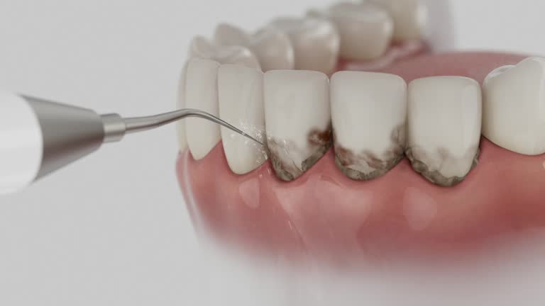 Reliable Dental contractor in Detroit Beach, MI by Dentist Open Now
